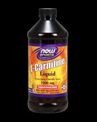 L-Carnitine Liquid Tropical Punch 1000 mg - 16 oz.